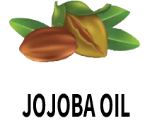 Jojoba Oil