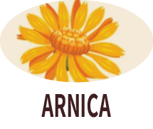 Arnica Extract