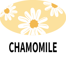 Chamomile